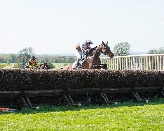 Race 3 - Young Horse Maiden (69 of 110).jpg
