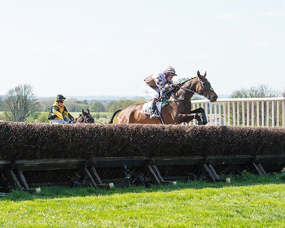 Race 3 - Young Horse Maiden (70 of 110).jpg