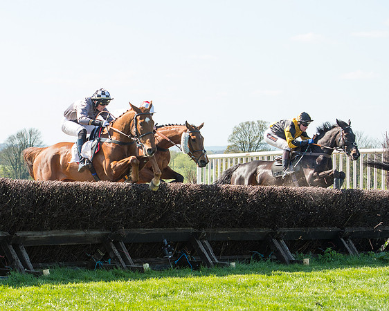 Race 3 - Young Horse Maiden (72 of 110).jpg