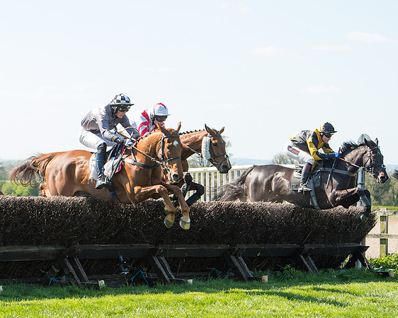 Race 3 - Young Horse Maiden (73 of 110).jpg