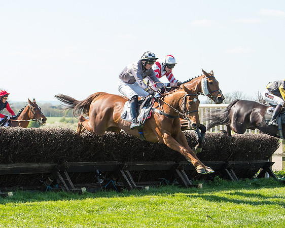 Race 3 - Young Horse Maiden (75 of 110).jpg