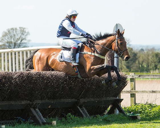 Race 3 - Young Horse Maiden (78 of 110).jpg