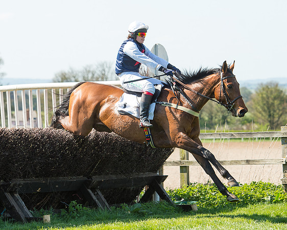 Race 3 - Young Horse Maiden (79 of 110).jpg