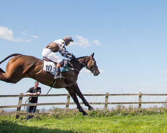 Race 3 - Young Horse Maiden (71 of 110).jpg