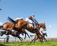 Race 3 - Young Horse Maiden