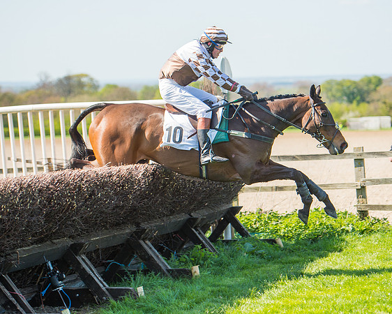 Race 3 - Young Horse Maiden (82 of 110).jpg