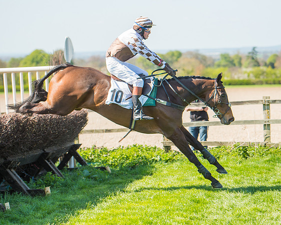 Race 3 - Young Horse Maiden (83 of 110).jpg