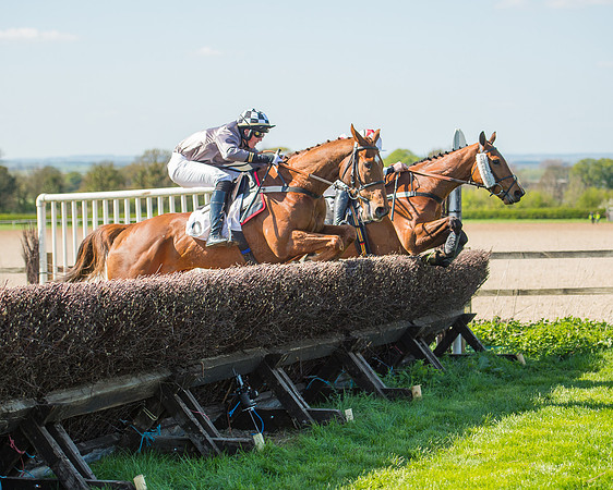 Race 3 - Young Horse Maiden (85 of 110).jpg