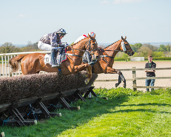 Race 3 - Young Horse Maiden (86 of 110).jpg