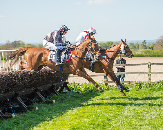 Race 3 - Young Horse Maiden (87 of 110).jpg