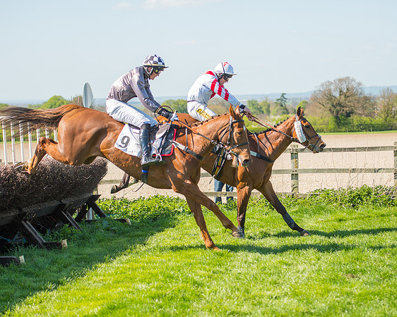 Race 3 - Young Horse Maiden (88 of 110).jpg