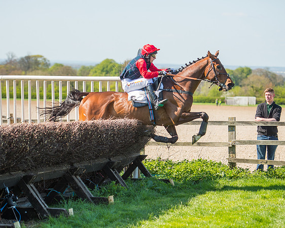 Race 3 - Young Horse Maiden (92 of 110).jpg
