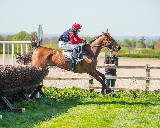 Race 3 - Young Horse Maiden (93 of 110).jpg
