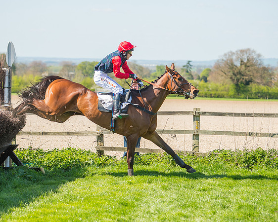 Race 3 - Young Horse Maiden (94 of 110).jpg
