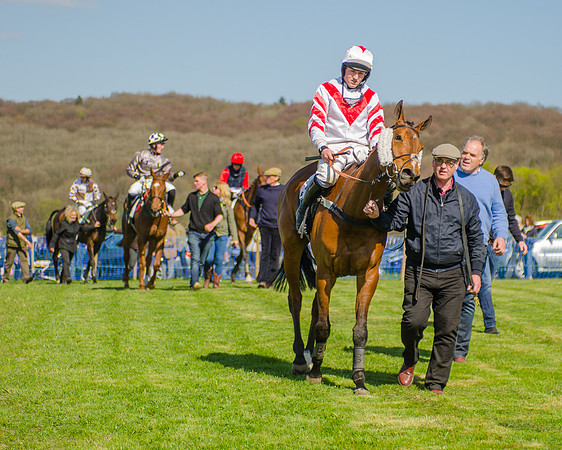 Race 3 - Young Horse Maiden (95 of 110).jpg