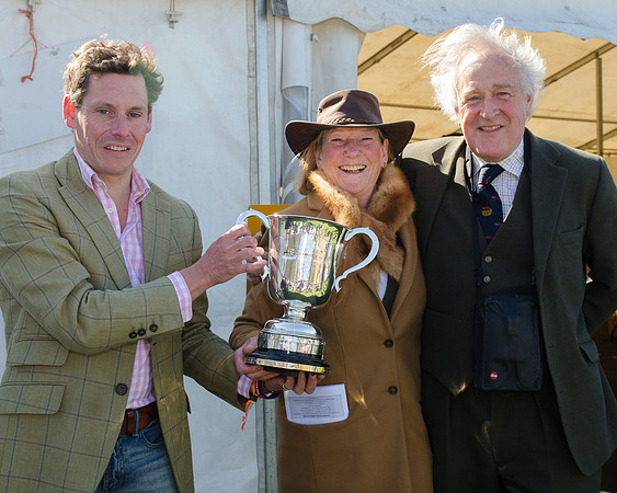 Race 3 - Young Horse Maiden (108 of 110).jpg