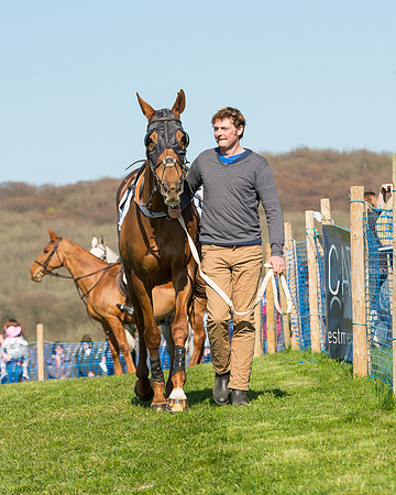 Race 5 - Southern Grand National (2 of 106).jpg