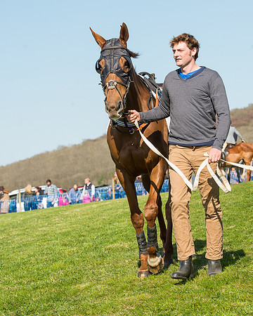 Race 5 - Southern Grand National (4 of 106).jpg