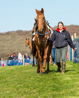 Race 5 - Southern Grand National (5 of 106).jpg