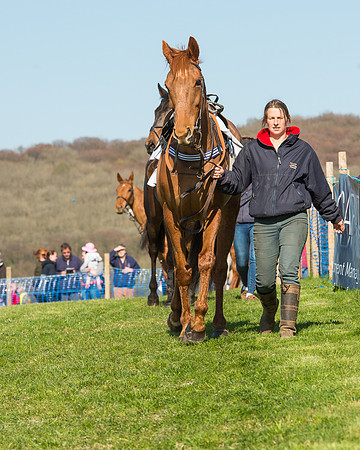 Race 5 - Southern Grand National (5 of 106).jpg