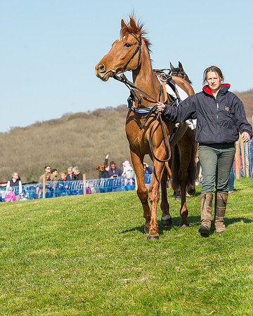 Race 5 - Southern Grand National (6 of 106).jpg