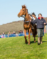 Race 5 - Southern Grand National (7 of 106).jpg