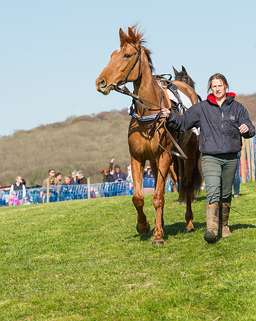 Race 5 - Southern Grand National (7 of 106).jpg
