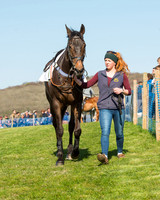 Race 5 - Southern Grand National (8 of 106).jpg