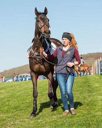 Race 5 - Southern Grand National (10 of 106).jpg