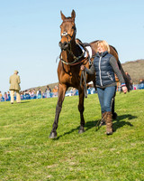 Race 5 - Southern Grand National (13 of 106).jpg