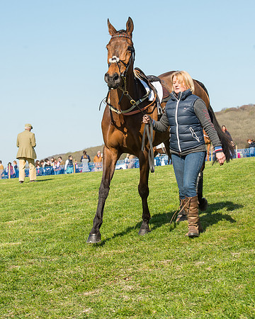 Race 5 - Southern Grand National (13 of 106).jpg
