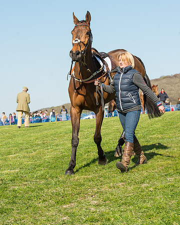 Race 5 - Southern Grand National (14 of 106).jpg