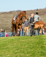 Race 5 - Southern Grand National (15 of 106).jpg