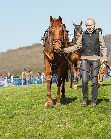 Race 5 - Southern Grand National (17 of 106).jpg