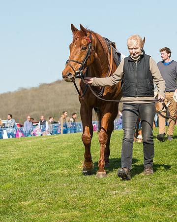 Race 5 - Southern Grand National (18 of 106).jpg