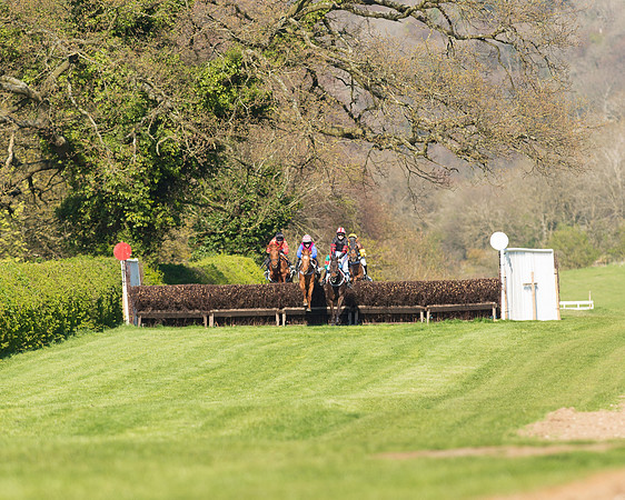 Race 5 - Southern Grand National (21 of 106).jpg