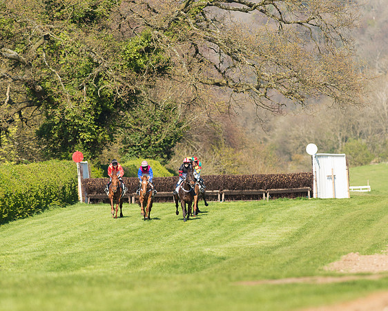 Race 5 - Southern Grand National (23 of 106).jpg