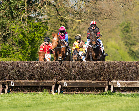 Race 5 - Southern Grand National (25 of 106).jpg