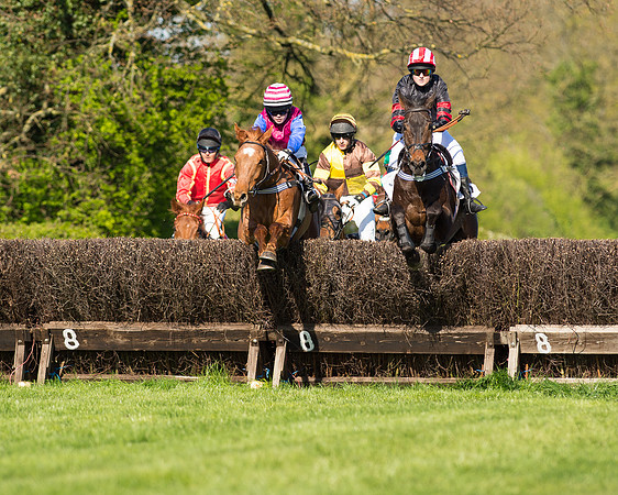 Race 5 - Southern Grand National (26 of 106).jpg