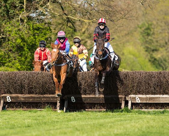 Race 5 - Southern Grand National (27 of 106).jpg