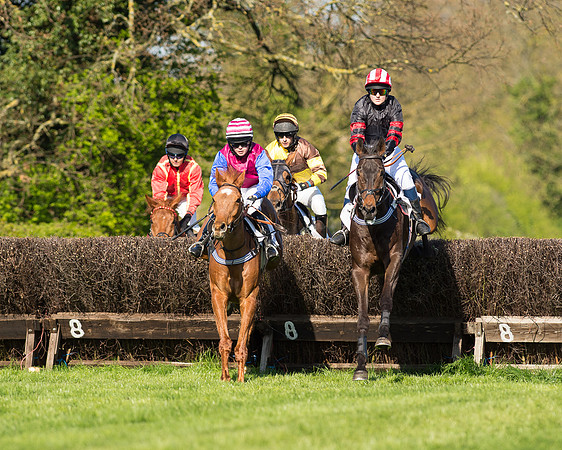 Race 5 - Southern Grand National (28 of 106).jpg