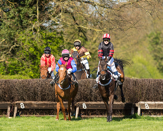 Race 5 - Southern Grand National (29 of 106).jpg