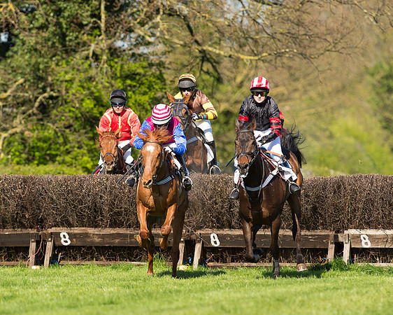 Race 5 - Southern Grand National (30 of 106).jpg