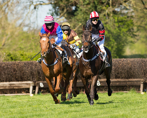 Race 5 - Southern Grand National (42 of 106).jpg