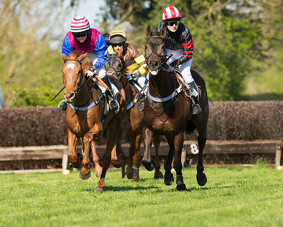 Race 5 - Southern Grand National (43 of 106).jpg