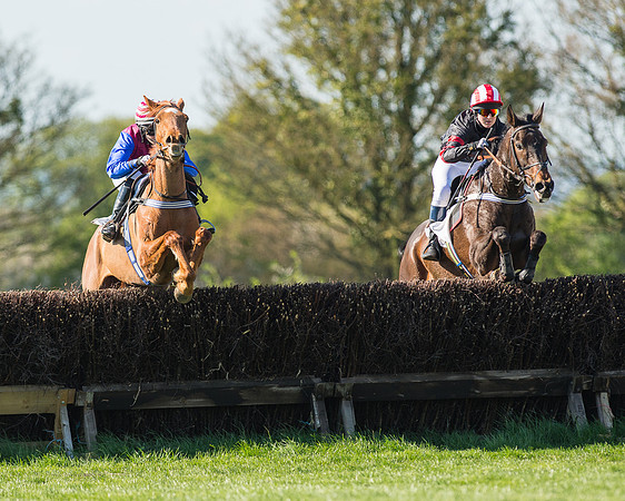 Race 5 - Southern Grand National (47 of 106).jpg