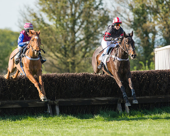 Race 5 - Southern Grand National (49 of 106).jpg
