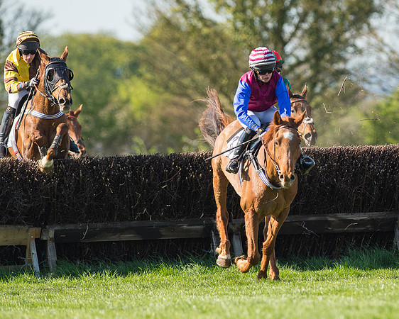 Race 5 - Southern Grand National (51 of 106).jpg
