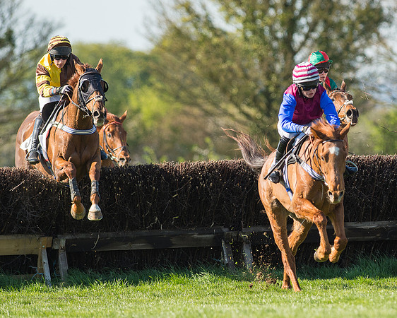 Race 5 - Southern Grand National (52 of 106).jpg