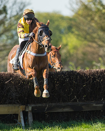 Race 5 - Southern Grand National (52 of 106)-2.jpg